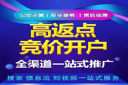 行业标杆的SEM竞价营销案例研究